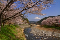 photo?id=2388&suffix=t