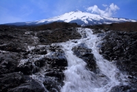 photo?id=2390&suffix=t
