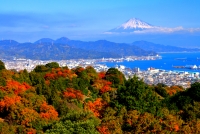 photo?id=2391&suffix=t