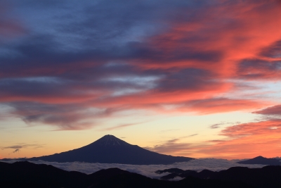 photo?id=2392&suffix=m