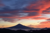 photo?id=2392&suffix=t