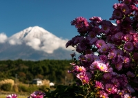 photo?id=2395&suffix=t
