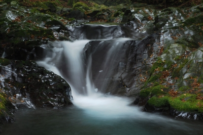 photo?id=2399&suffix=m