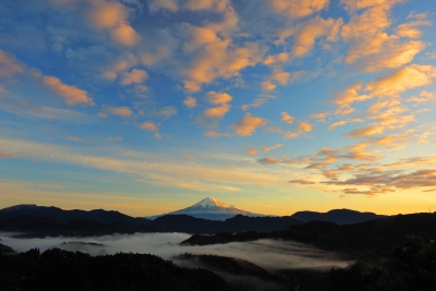 photo?id=2400&suffix=m