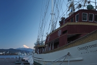 photo?id=2401&suffix=t