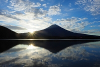 photo?id=2402&suffix=t