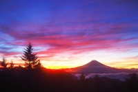 photo?id=2405&suffix=t