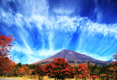 photo?id=2408&suffix=m