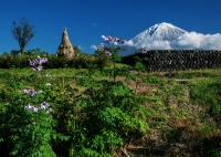 photo?id=2413&suffix=t