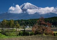 photo?id=2414&suffix=t