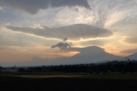 photo?id=2416&suffix=t