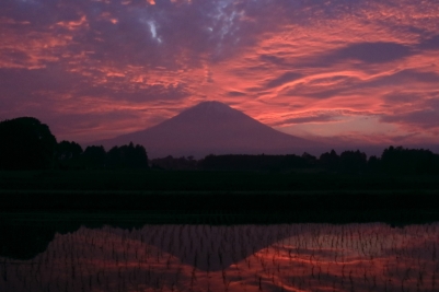 photo?id=2417&suffix=m