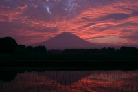 photo?id=2417&suffix=t