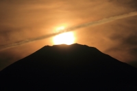 photo?id=2418&suffix=t