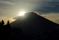 photo?id=2419&suffix=t