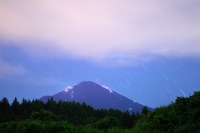 photo?id=2420&suffix=t
