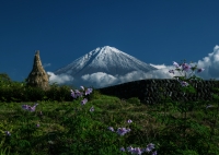 photo?id=2425&suffix=t