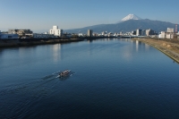 photo?id=2430&suffix=t