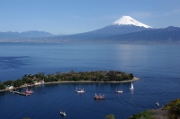 photo?id=2431&suffix=t