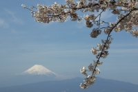 photo?id=2432&suffix=t