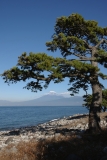 photo?id=2433&suffix=t