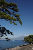 photo?id=2434&suffix=t
