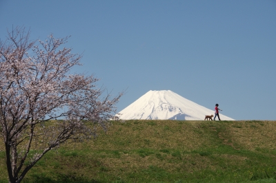 photo?id=2436&suffix=m