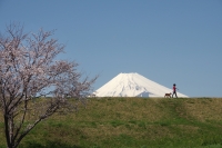 photo?id=2436&suffix=t