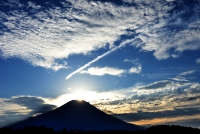 photo?id=2437&suffix=t