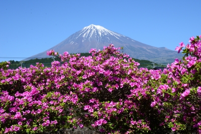 photo?id=2438&suffix=m