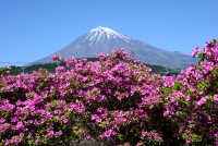 photo?id=2438&suffix=t
