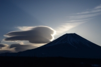 photo?id=2442&suffix=t