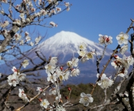 photo?id=2445&suffix=t