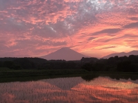photo?id=2456&suffix=t