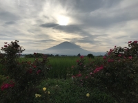 photo?id=2457&suffix=t