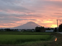 photo?id=2458&suffix=t