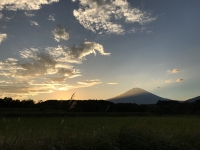 photo?id=2459&suffix=t