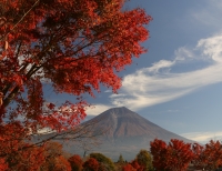 photo?id=2462&suffix=t