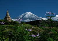 photo?id=2464&suffix=t