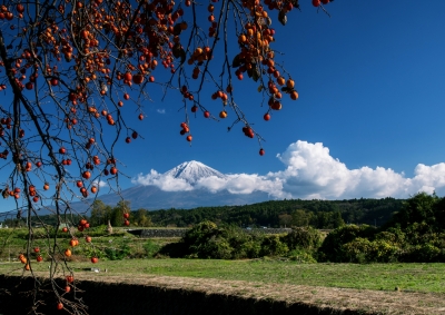 photo?id=2469&suffix=m