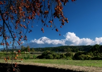 photo?id=2469&suffix=t