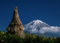 photo?id=2470&suffix=t