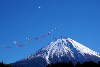 photo?id=2473&suffix=t