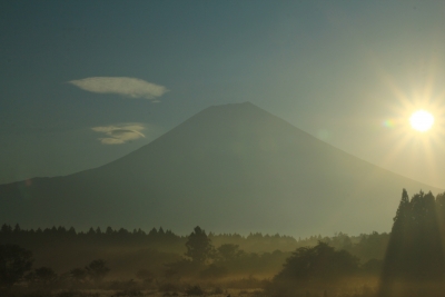 photo?id=2475&suffix=m