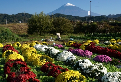 photo?id=2478&suffix=m