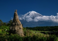 photo?id=2479&suffix=t