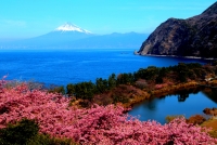 photo?id=2480&suffix=t