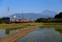 photo?id=2482&suffix=t