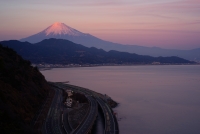 photo?id=2484&suffix=t