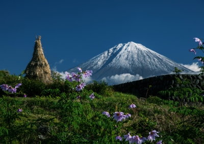 photo?id=2488&suffix=m